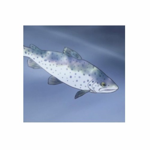 trout