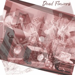 Dead Flowers (Rolling Stones Cover)