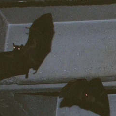 Cellar (prod UPSTXTE)