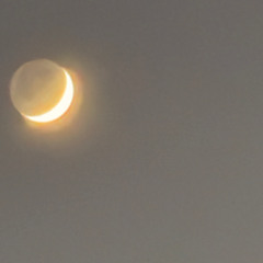 Da Lot (Prod.nvrmindd)