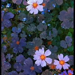 fisher edc full set - 25