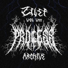 [030] ZILEF // Process Archive