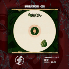 PURPLEHELLCATT | Mangue Rádio 002 @FunctionFm 06.07.2025