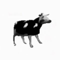 polish cow (but it's lofi hiphop)