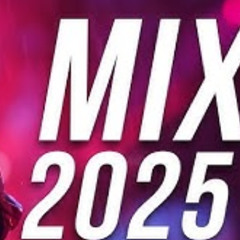 EDM Mashup Mix 2025 USA-Best Mashups Remixes of Popular Songs-Electro Techno Music 849