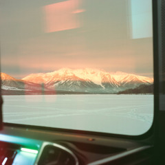 Morning Light