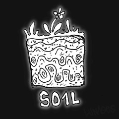 S01L