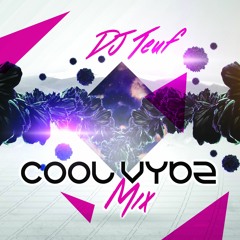 DEEJAY TEUF - Cool vybz