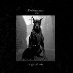 Dobermann - UZI (Original Mix)
