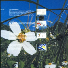 paradise garden