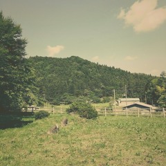 summer low