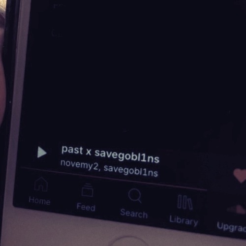 past x savegobl1ns