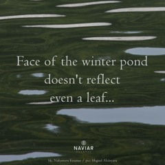Face of the Winter - (Naviarhaiku - 540)