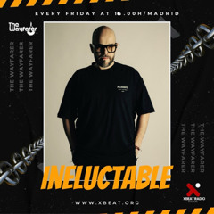 The Wayfarer Radioshow #113 - Ineluctable [Progressive House | Exclusive Set For Xbeat Radio]