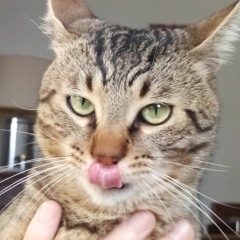 extrait deextrait live aux Ardufs le 12/12/1021