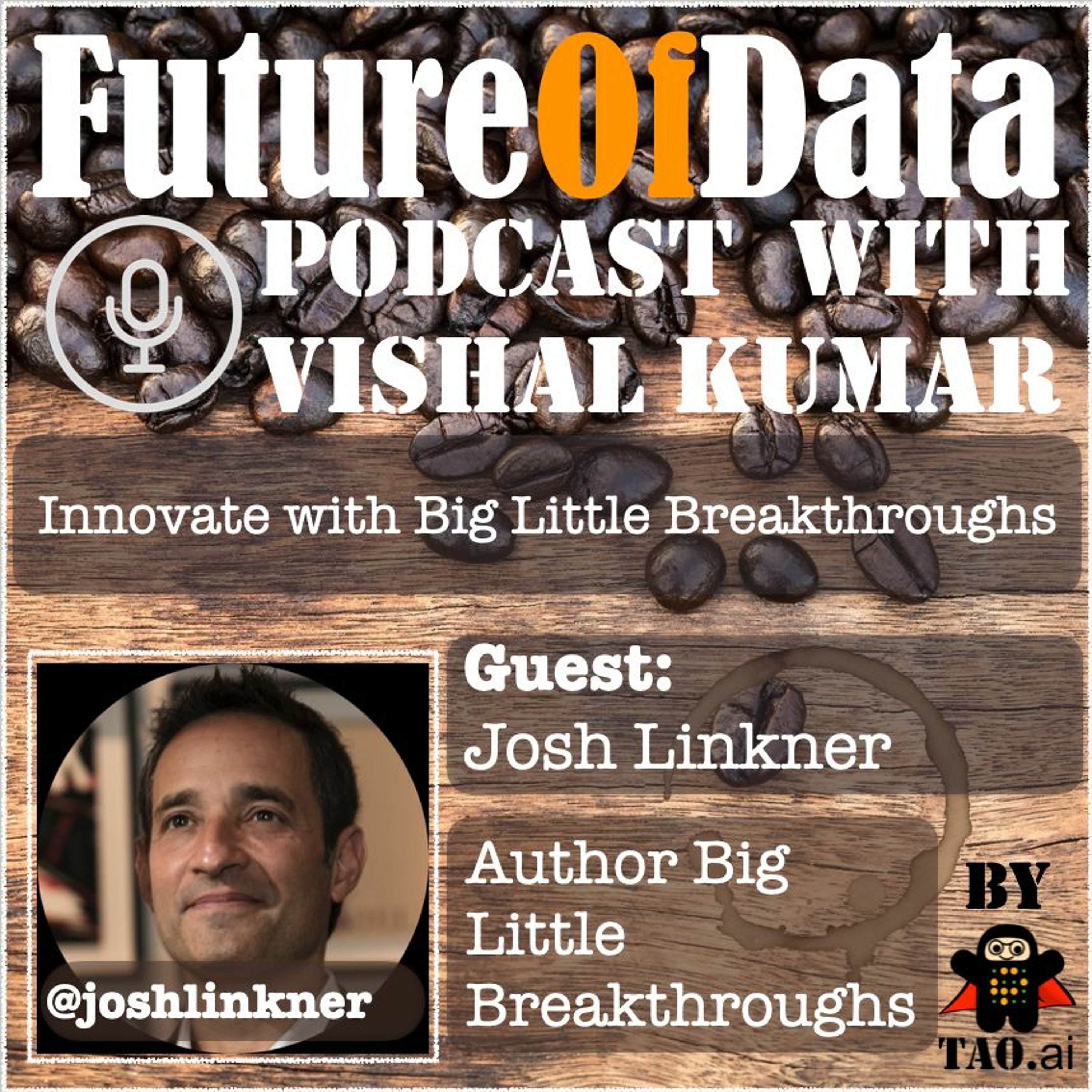 Discussing Data, Innovation, and Creativity with Josh Linkner