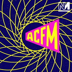 #ACFM Microdose: Ece Temelkuran on Crowds