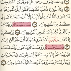 الشيخ محمد عمران | فَاسْتَجَبْنَا لَهُ وَوَهَبْنَا لَهُ يَحْيَى | مقام كرد