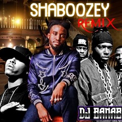 SHABOOZEY VS NAUGHTY BY NATURE - A BAR SONG (TIPSY) - INTRO EDIT