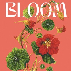 Belen Minue-Live Set at Bloom