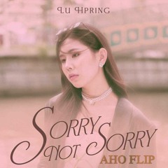 Sorry Not Sorry (Lu Hpring)- AHO FLIP (Click buy = freedownload)