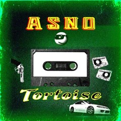 Tortoise