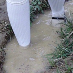 ƷнжƷлвƷйв