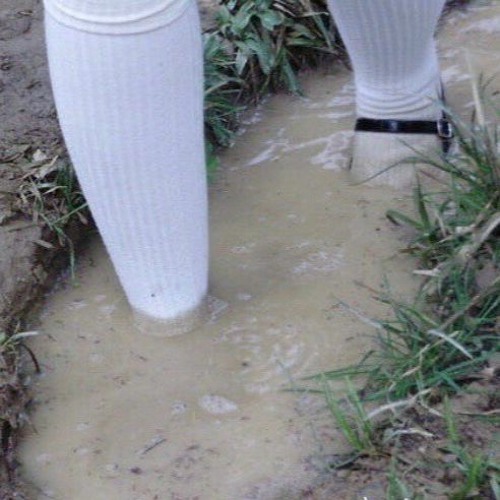 ƷнжƷлвƷйв