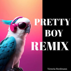 Victoria Nordmann - Pretty Boy (Remix)