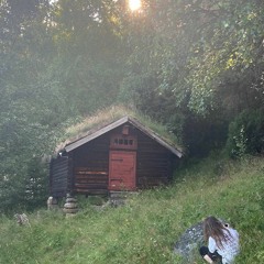 Sylvan (re)searchers