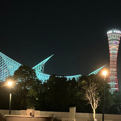 Don't Let Me Be Lonely Tonight / James Taylor Cover