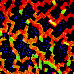 Zirconera Clutteredeta