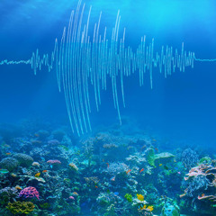 BANISH_05.10.25_DEEP & DARK PROGRESSIVE_AFTER ON  SUNDAYZ._SEISMIX 3.2
