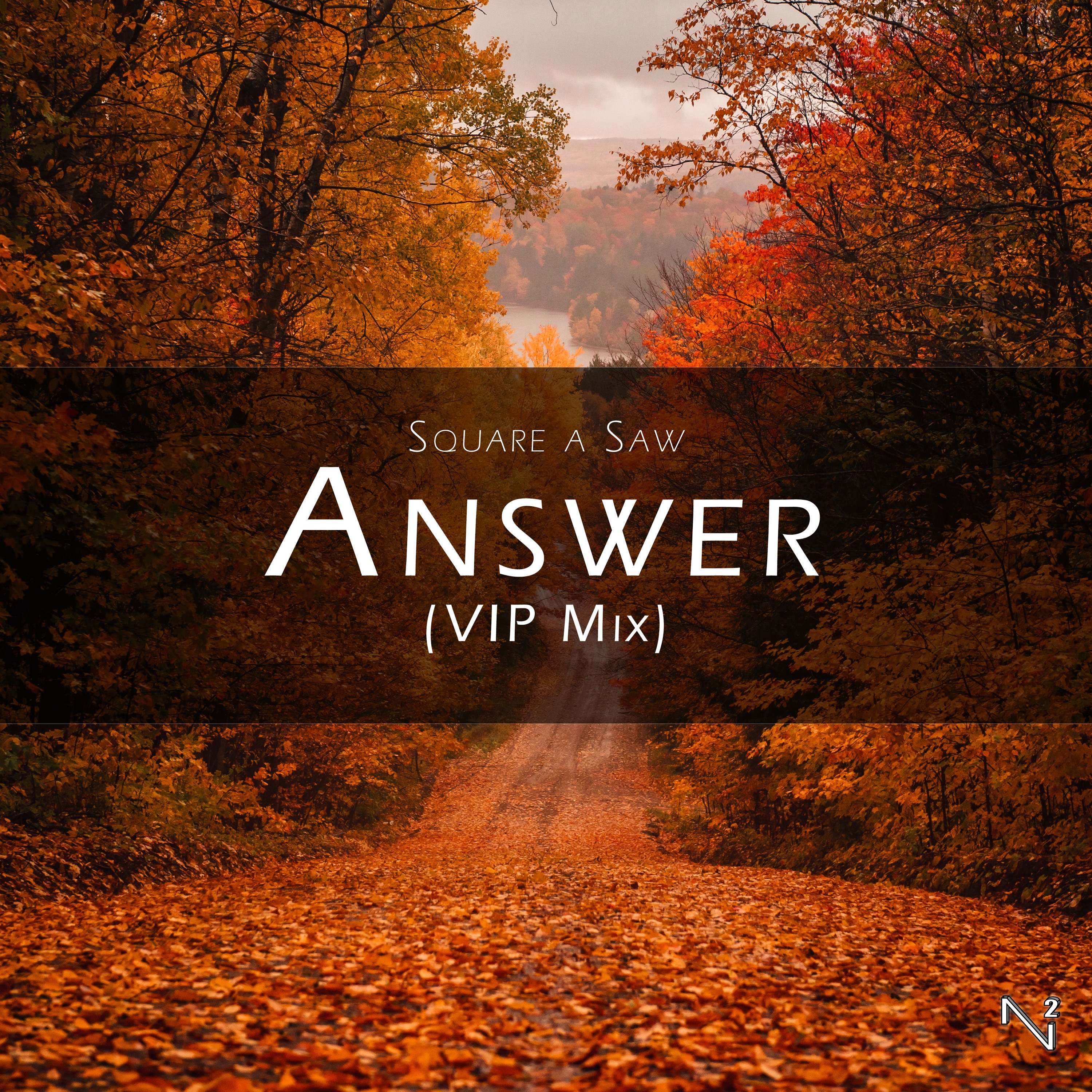Answer (VIP Mix)