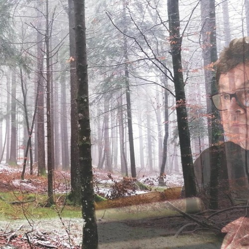 Brane Zorman: The Tree Spirits | Touch (Palma Ars Acustica 2022 winning composition)