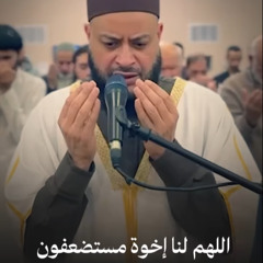 اللهم لنا إخوة مستضعفون | مقتطفات من دعاء القنوت رمضان 1446هـ-2025م | الشيخ حاتم فريد