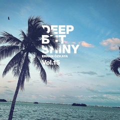 Deep but Shiny Vol.15