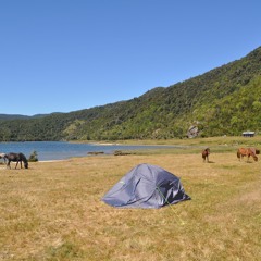 Proggressive housse ssessionss