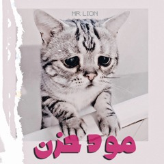 مود حزن كسرة مستر ليون - HICTOR