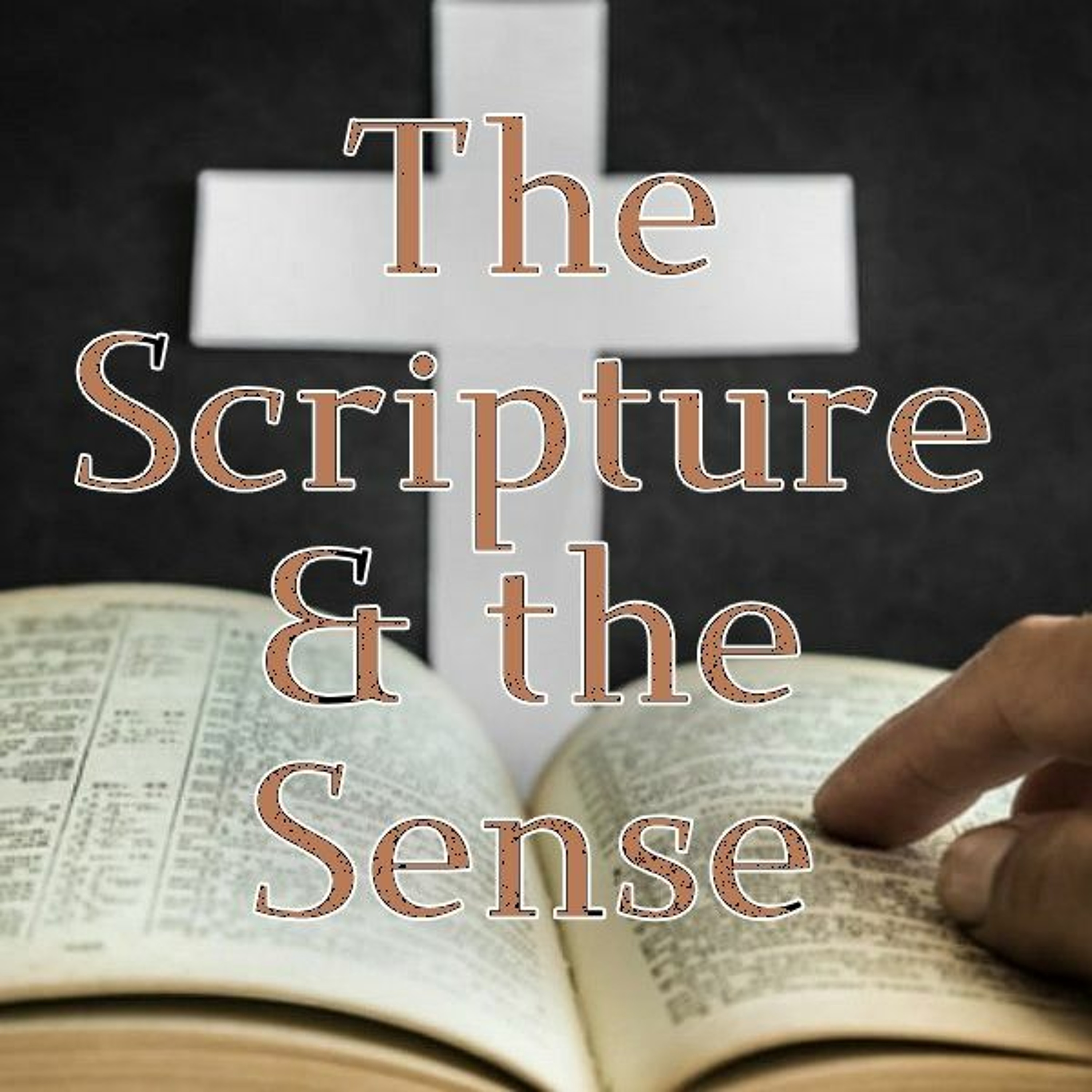 The Scripture & the Sense Podcast #1031: Matthew 3:16-17