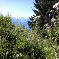 Sounding Soil - Alp meadow Valais