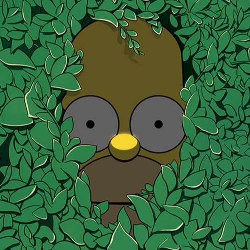 BAH ALORS HOMER