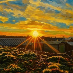 Good Morning Sun-Eclectic Collective