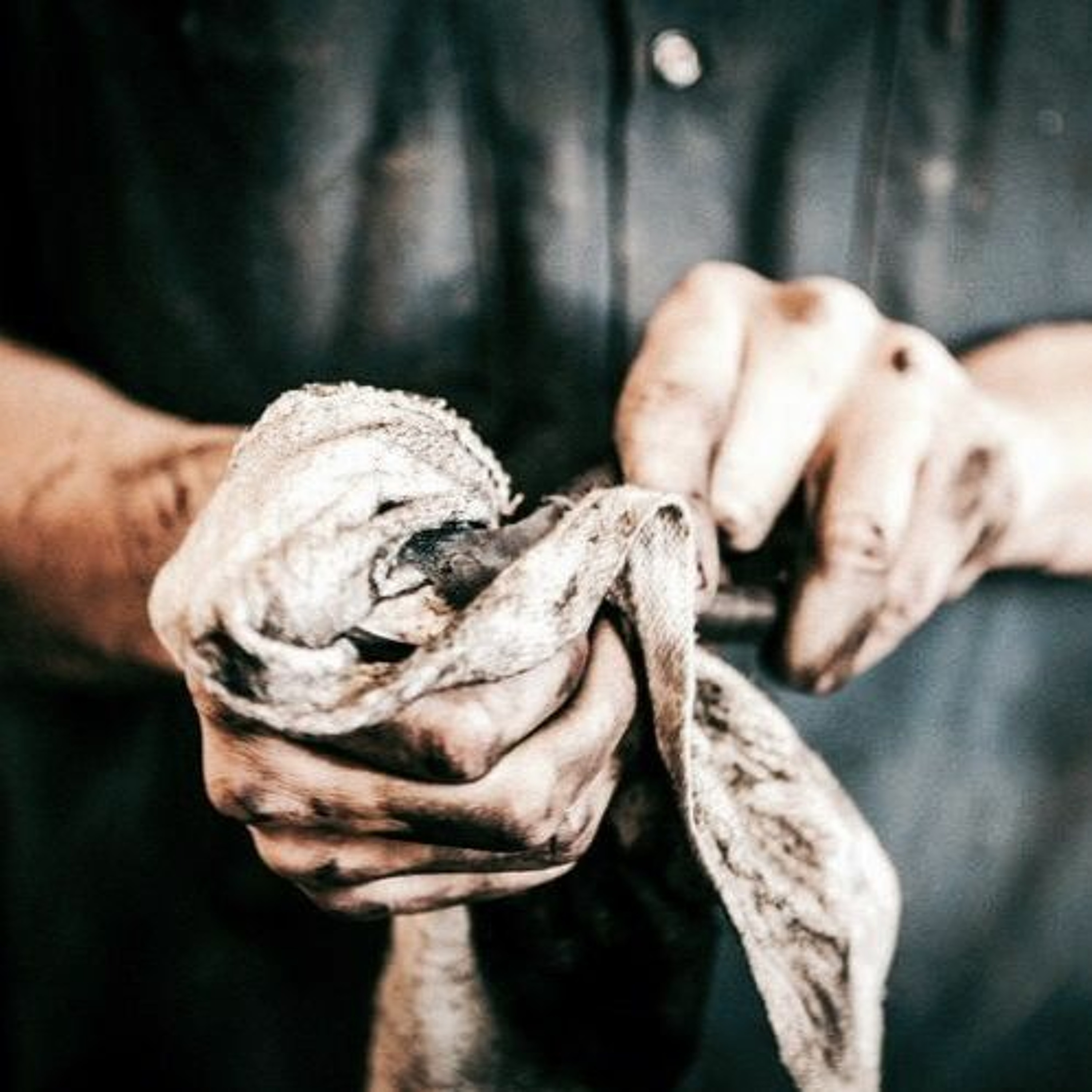 Sanningsministeriet - Handen på hjärtat: meritokratin är väl död?