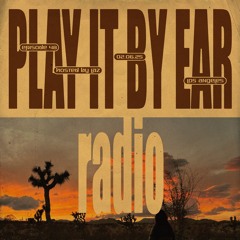 PIBE RADIO EPISODE 48