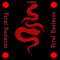 Experience Feral Business