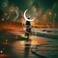 Dreamcast 029 with Numbred