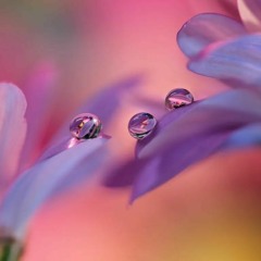 ناديت وقلبي منكسر💔||عامر عطايا