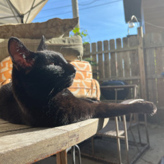 Imagine Sunshine On Your Face