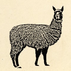 Llama Lou
